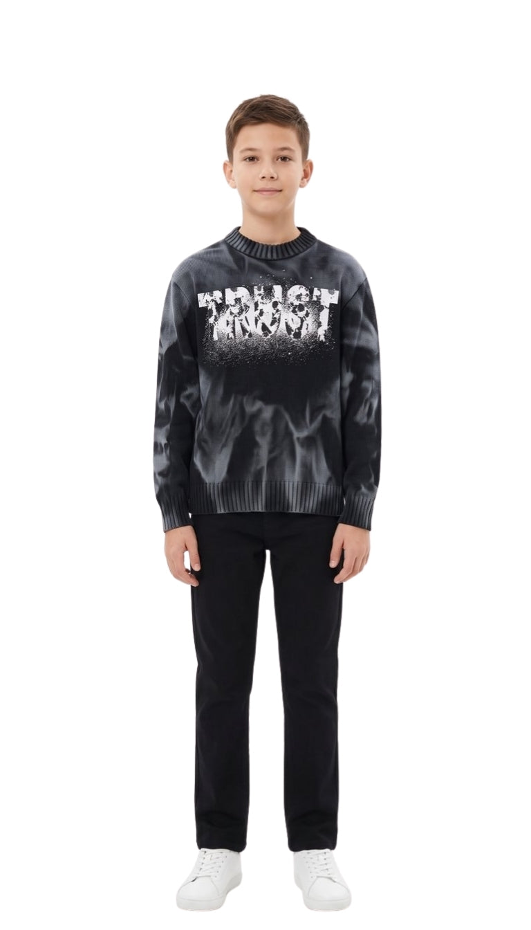 Maglione Girocollo Regular con Grafica Trust Effetto Spray