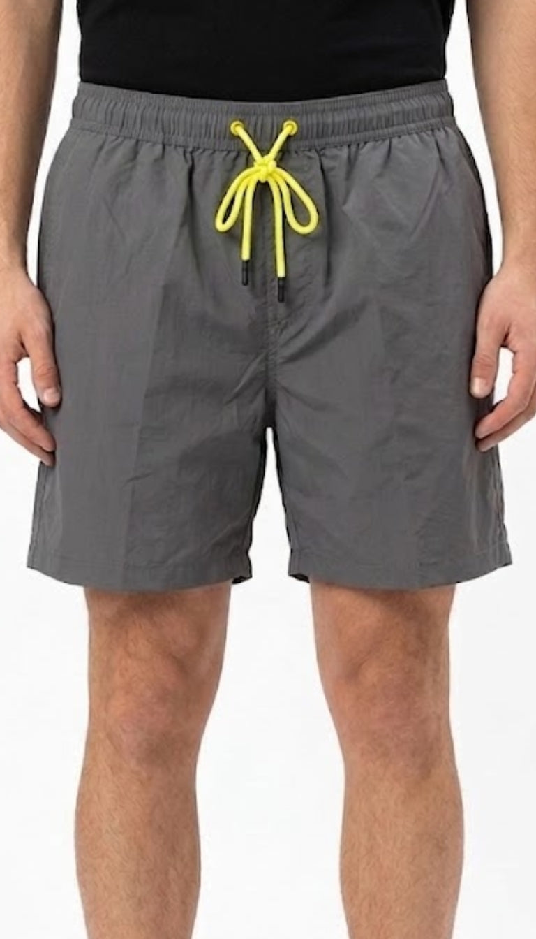 Boxer Mare "Riviera"