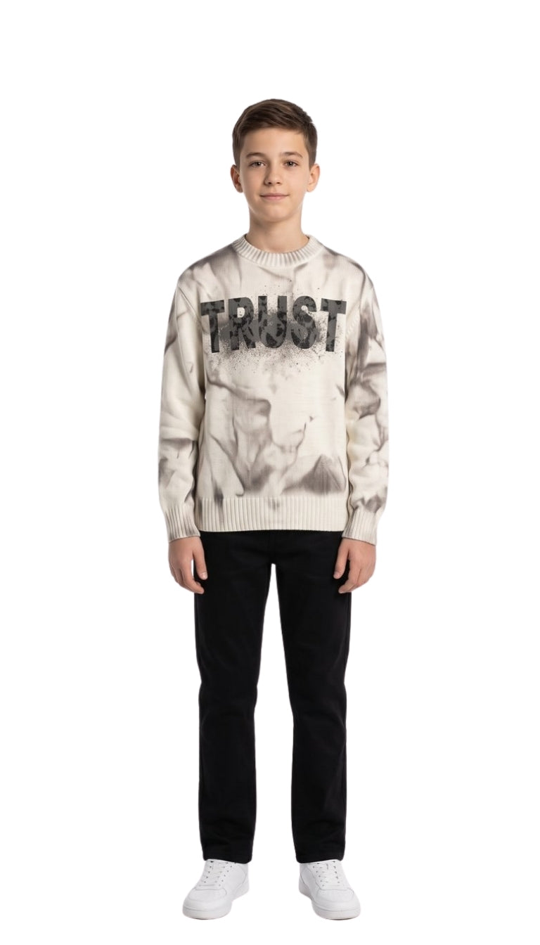 Maglione Girocollo Regular con Grafica Trust Effetto Spray