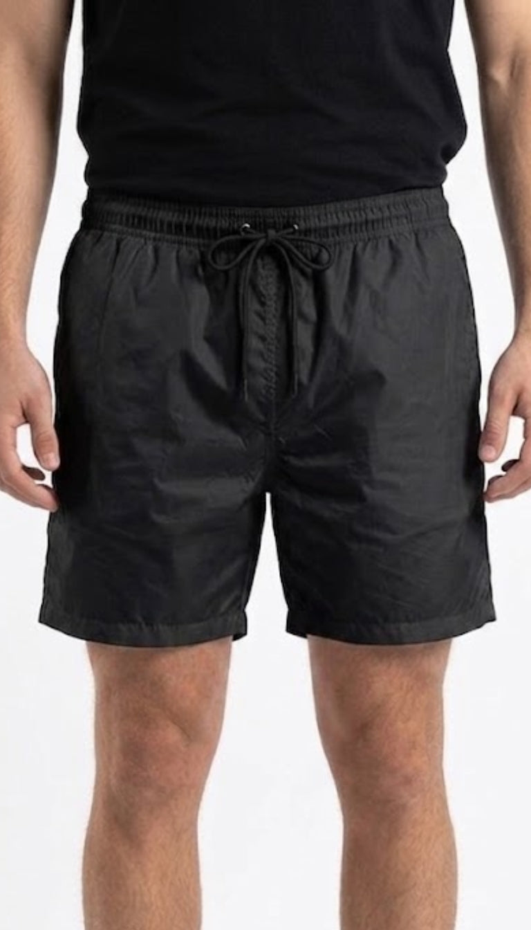Boxer Mare "Glossy Wave"