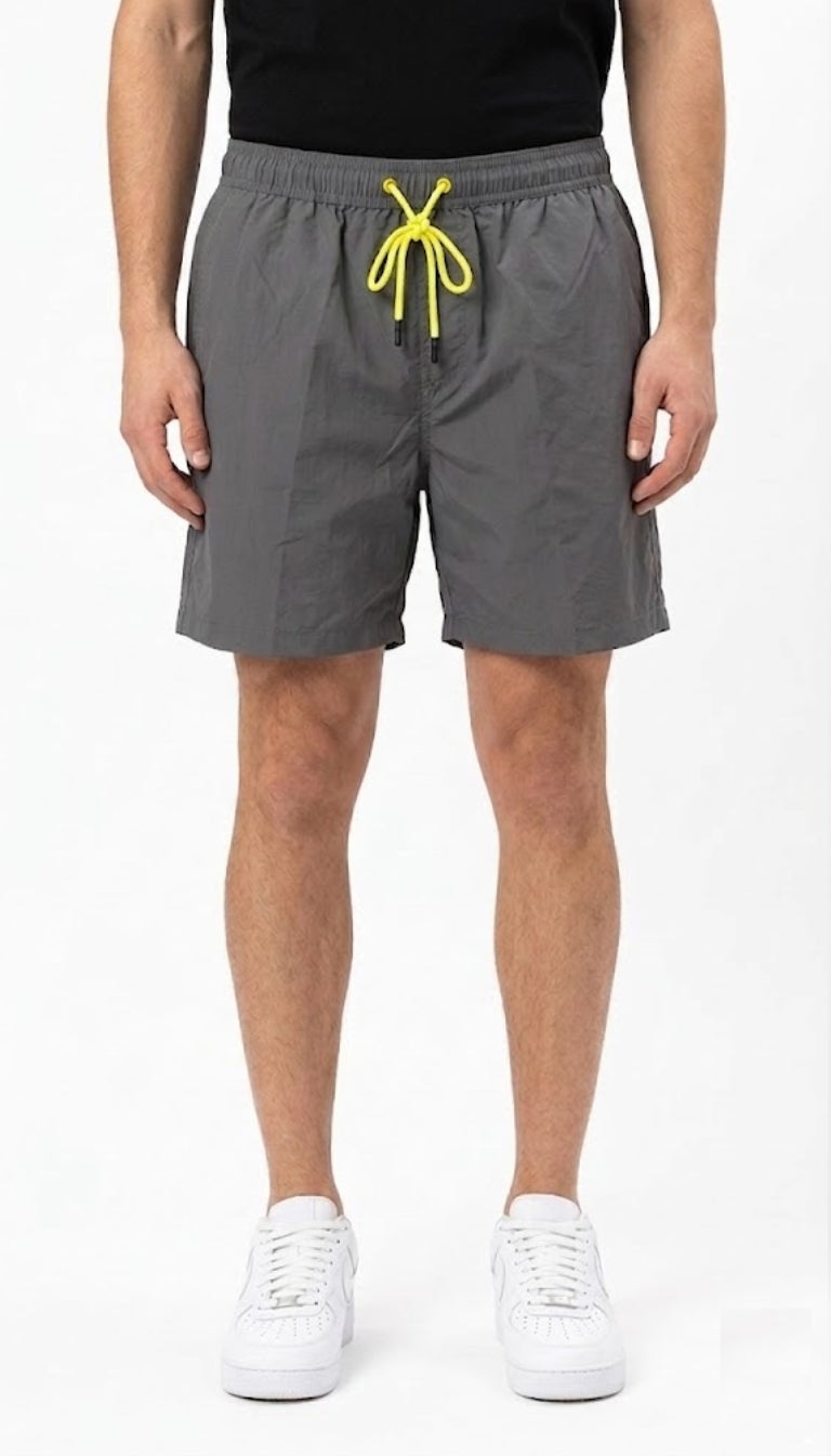 Boxer Mare "Riviera"
